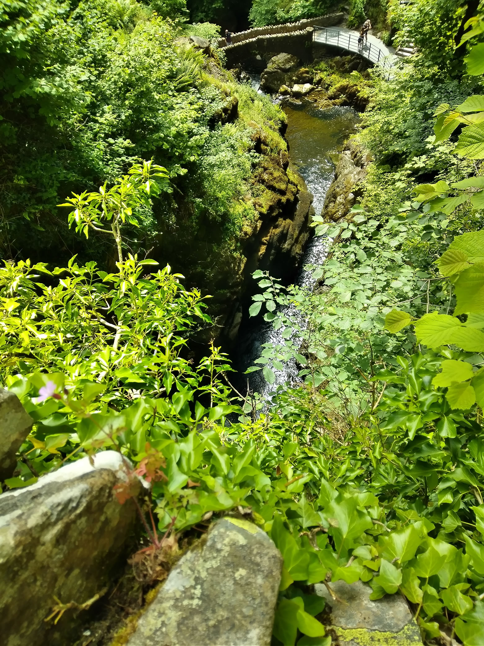 Aira Force - Image 3, Jun 24, 2024